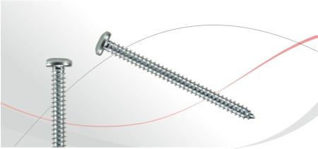 DIN 7981 metal tapping screw