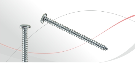 DIN 7981 metal tapping screw A2